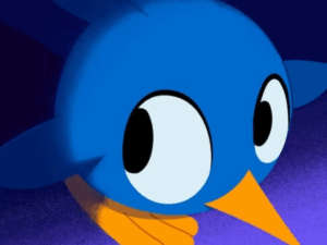 A little bird told me