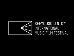 Sound Technician - SeeYouSound Festival